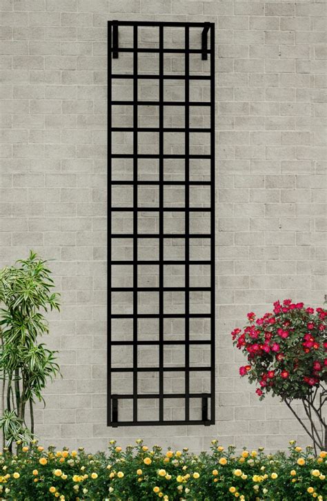 wall mounted trellis